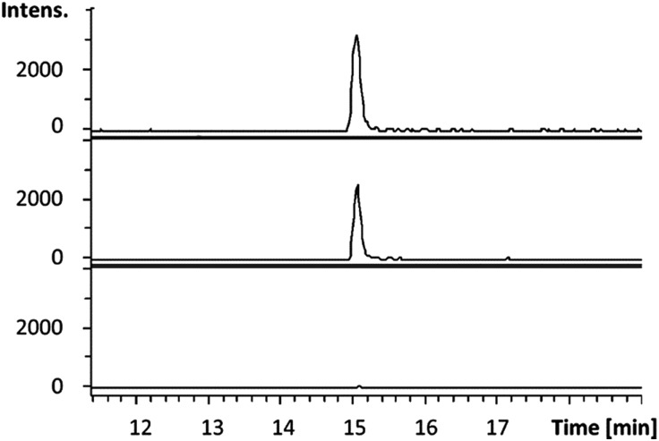 Fig. 5