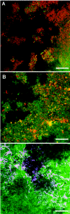 FIG. 4.