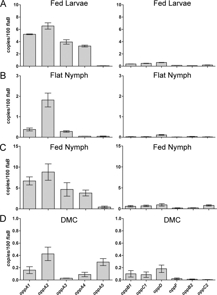 FIG 3 