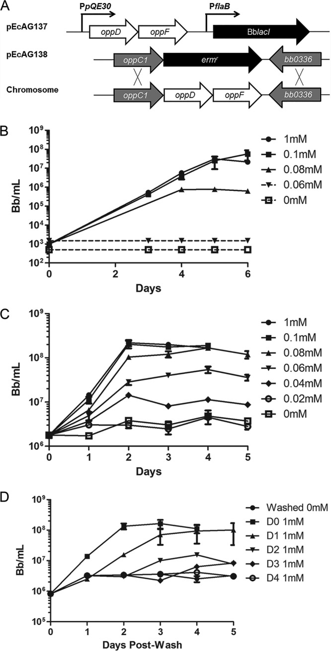 FIG 4 