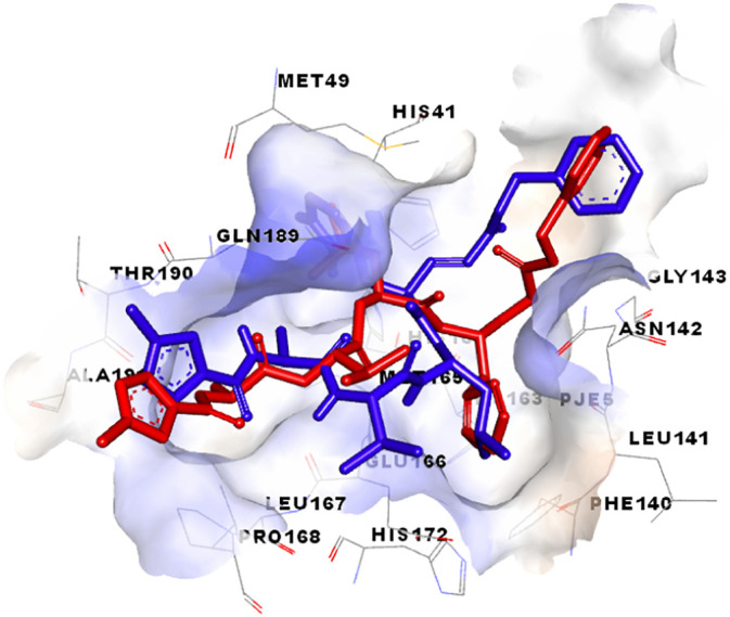 Fig. 7