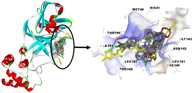 Fig. 1