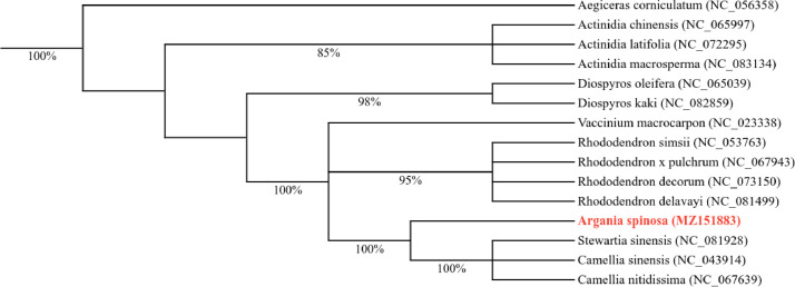 Fig. 4: