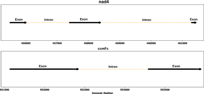 Fig. 2: