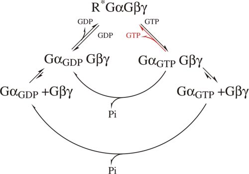 FIGURE 7.