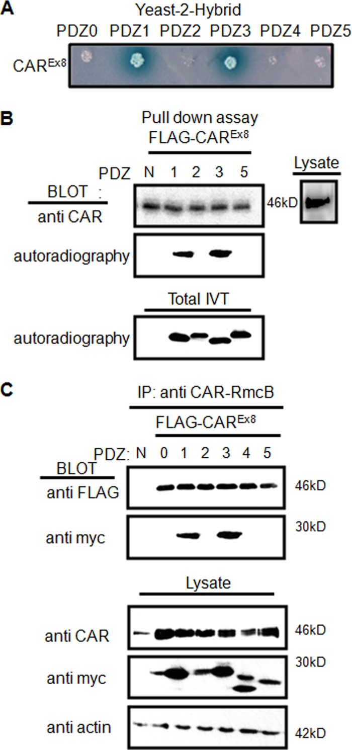 Fig 4