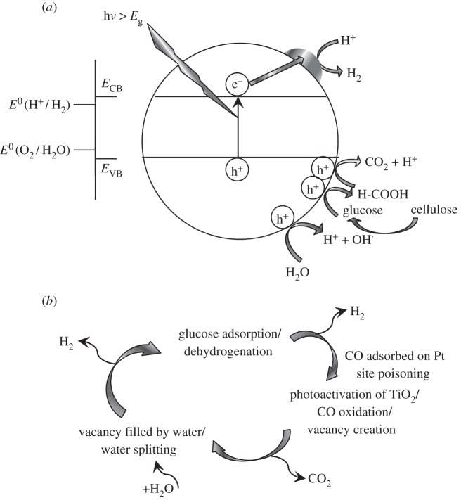 Figure 9.