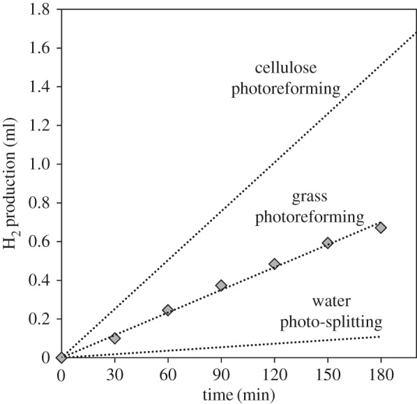 Figure 10.