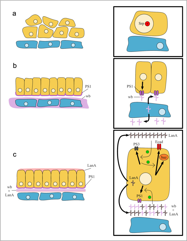 Figure 9.