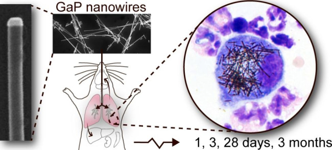 graphic file with name 12951_2023_2049_Figa_HTML.jpg