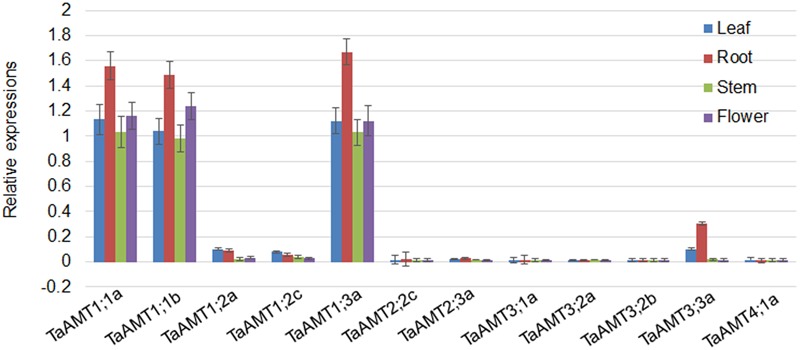 FIGURE 2