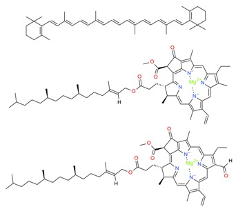 graphic file with name molecules-23-02953-i010.jpg