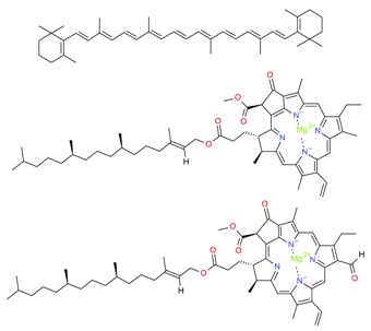 graphic file with name molecules-23-02953-i005.jpg