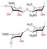 graphic file with name molecules-23-02953-i009.jpg