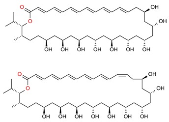 graphic file with name molecules-23-02953-i016.jpg