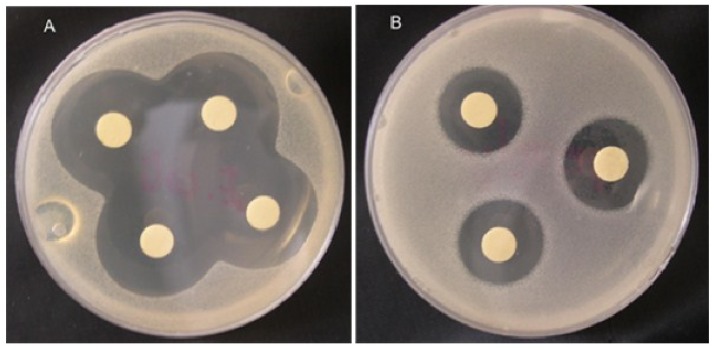 Figure 9