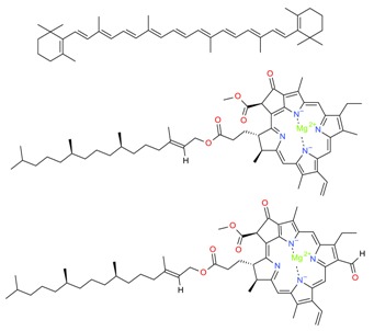 graphic file with name molecules-23-02953-i001.jpg