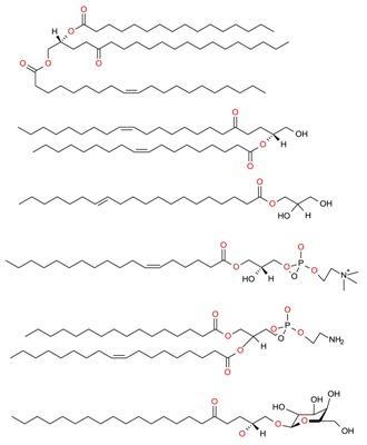 graphic file with name molecules-23-02953-i013.jpg