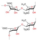 graphic file with name molecules-23-02953-i011.jpg