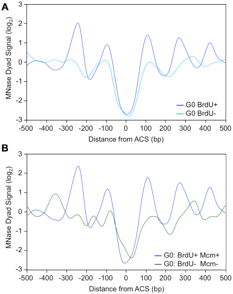 Figure 7.