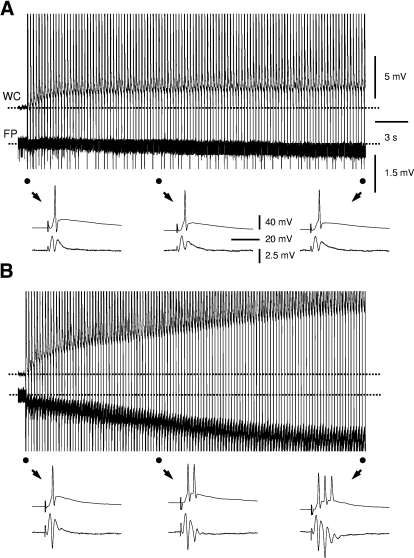 Fig. 4.