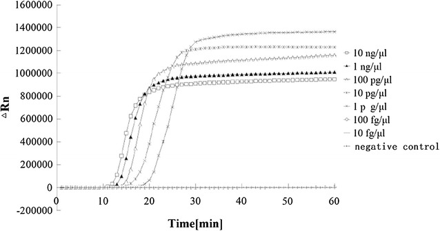 Fig. 3