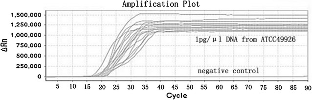 Fig. 4