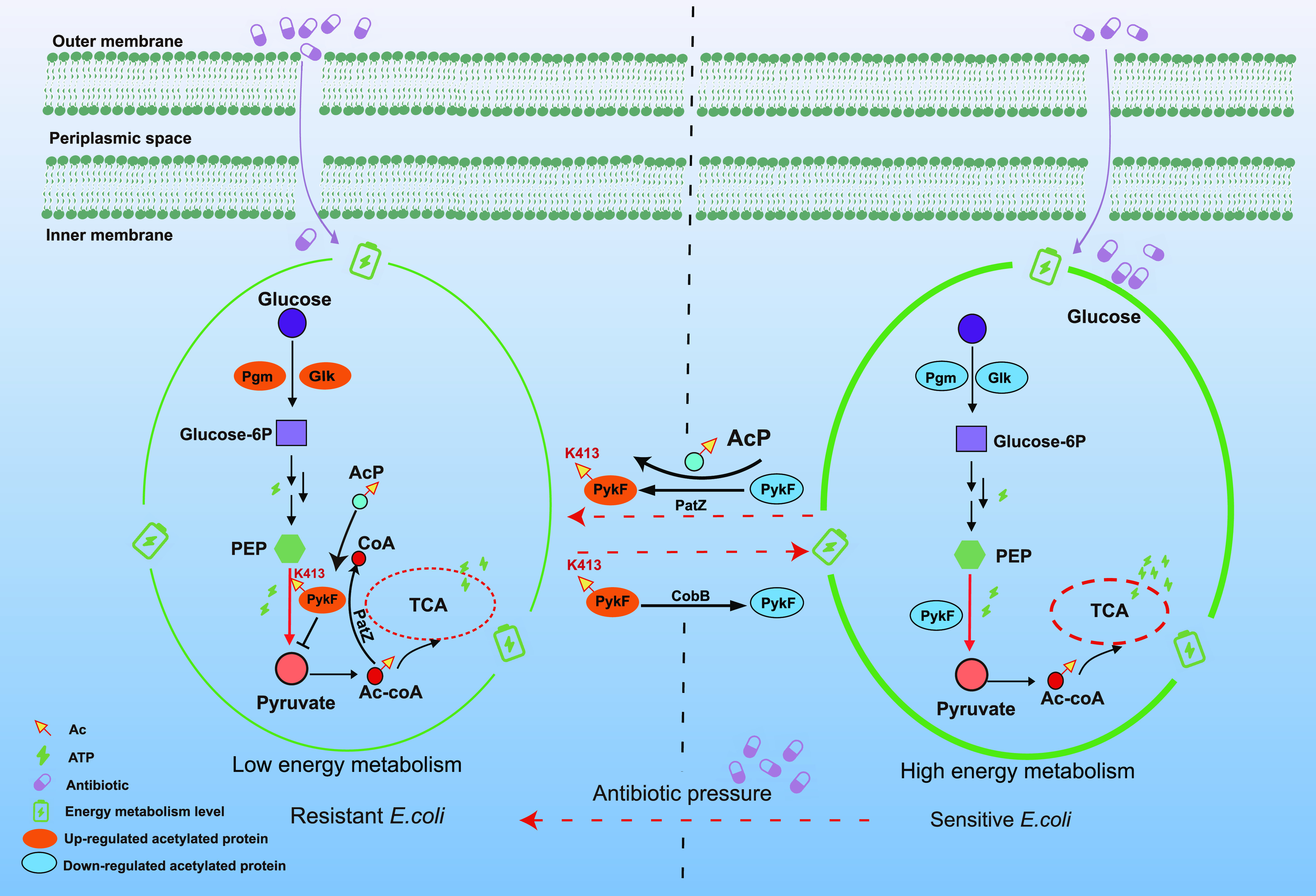 FIG 6