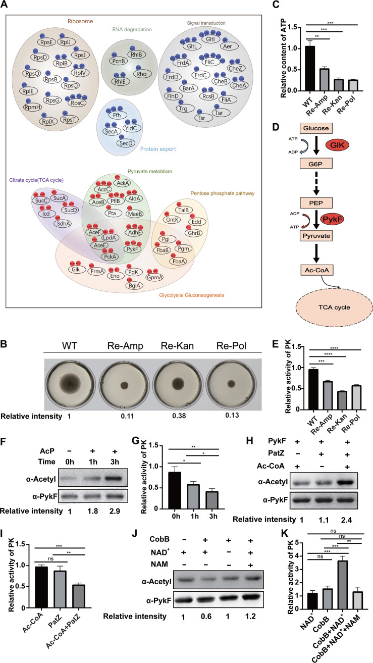 FIG 3