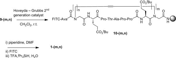 Scheme 3