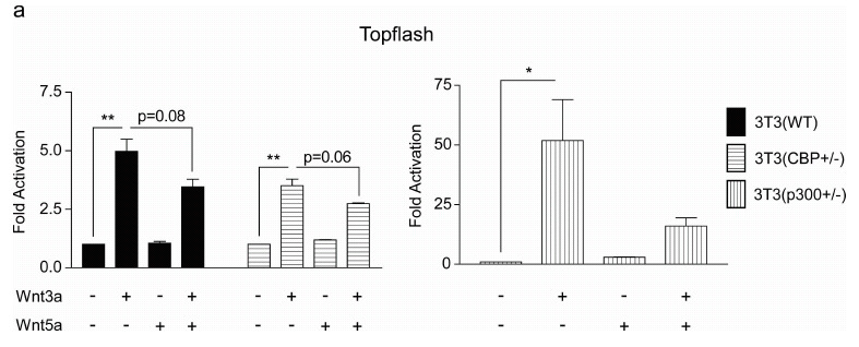 Fig. (4)