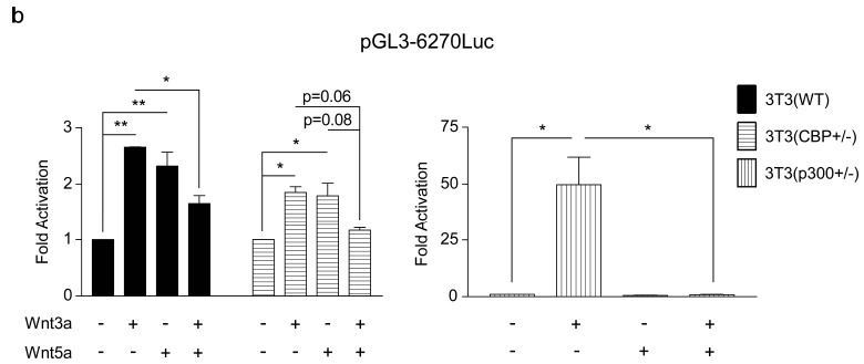 Fig. (5)