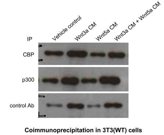 Fig. (7)