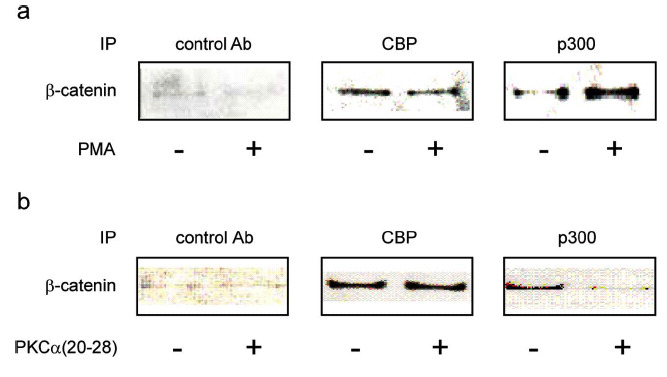 Fig. (9)