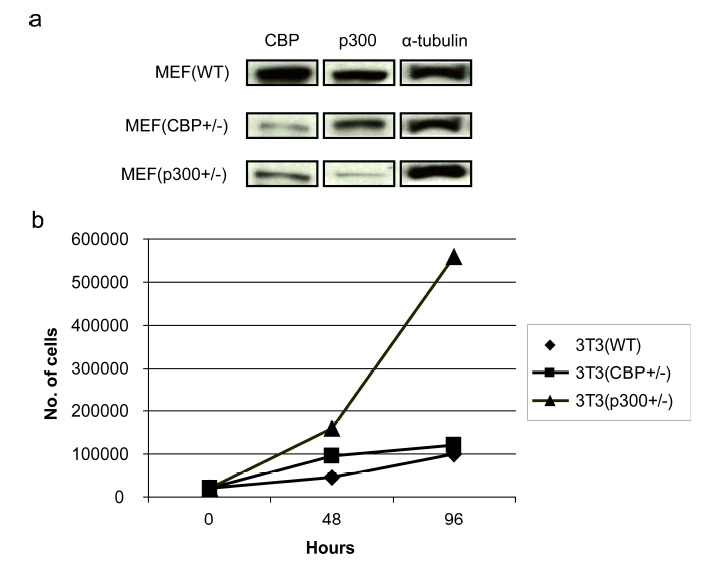 Fig. (3)