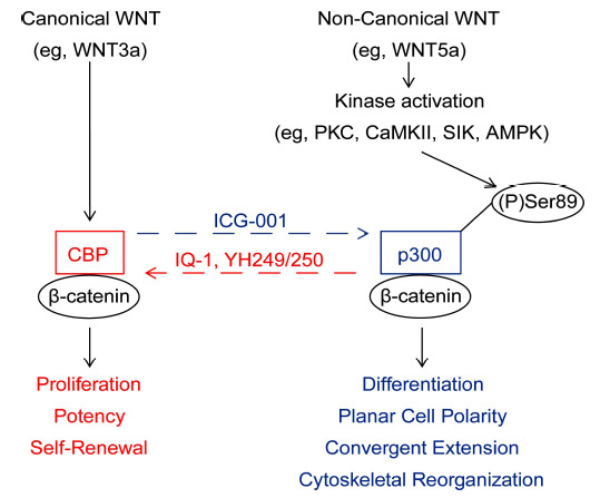 Fig. (1)