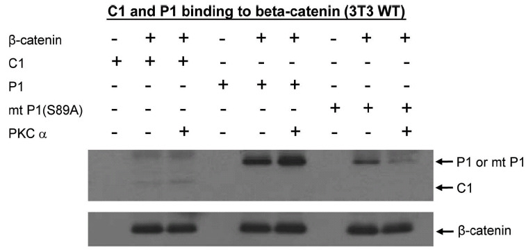 Fig. (10)