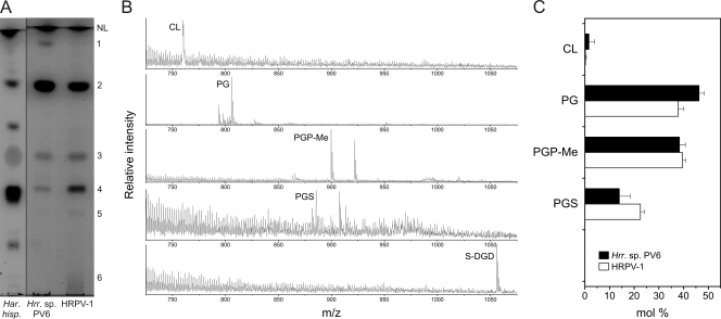 FIG. 7.