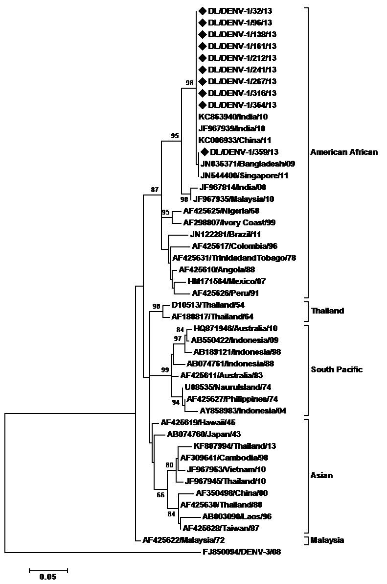 Maximum Likelihood phylogenetic tree of Denv-1 strains