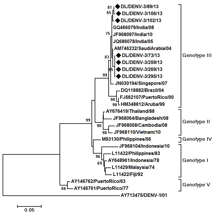 Maximum Likelihood phylogenetic tree of DENV-3 strains