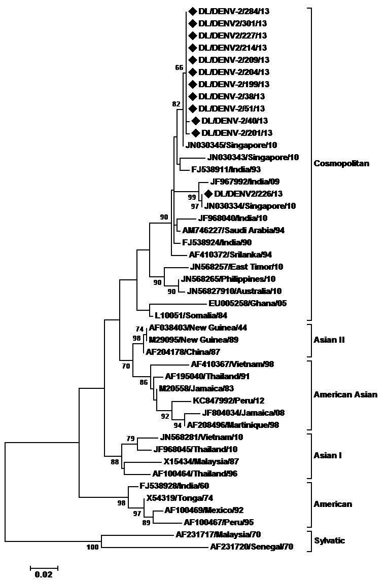 Maximum Likelihood phylogenetic tree of Denv-2 strains