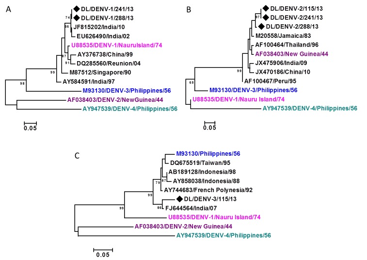 Maximum Likelihood phylogenetic tree based on C-prM gene region of A) DENV-1 strains B) DENV-2 strains C) DENV-3 strain 