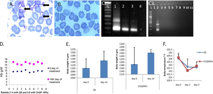 FIG 5