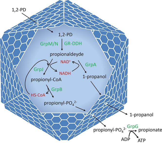 FIG 2