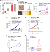 Figure 3. MTX13 outperforms h6M24-vc0101 in ovarian cancer and TNBC. A, In vivo efficacy of MTX-13 and h6M24-vc0101 in ovarian cancer (SK-OV-3 and OVCAR-3) CDX models. B–E, In vivo efficacy of MTX-13 and h6M24-vc0101 in TNBC CDX/PDX models. For all in vivo studies, cell line/PDX tumor type is labeled. Target expression in each model is shown as flow cytometry (relative MFI) and/or IHC staining on untreated mouse tumor tissue with H-score evaluated. Scale bars, 20 μm. CDX/PDX mice were intravenously administered with indicated ADCs (10 mg/kg for MTX-13 and 5 mg/kg for h6M24-vc0101 unless otherwise labeled) on day 0 (tumor size reached an average of 150–200 mm3) indicated by red arrows. Each value represents the mean and SEM (N = 4 or 5). Unpaired two-sided t test. *, P < 0.05; **, P < 0.01; ***, P < 0.001. F, A summary of tumor volume change from baseline for all ADCs in B–E.