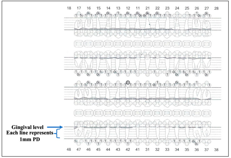 Figure 12