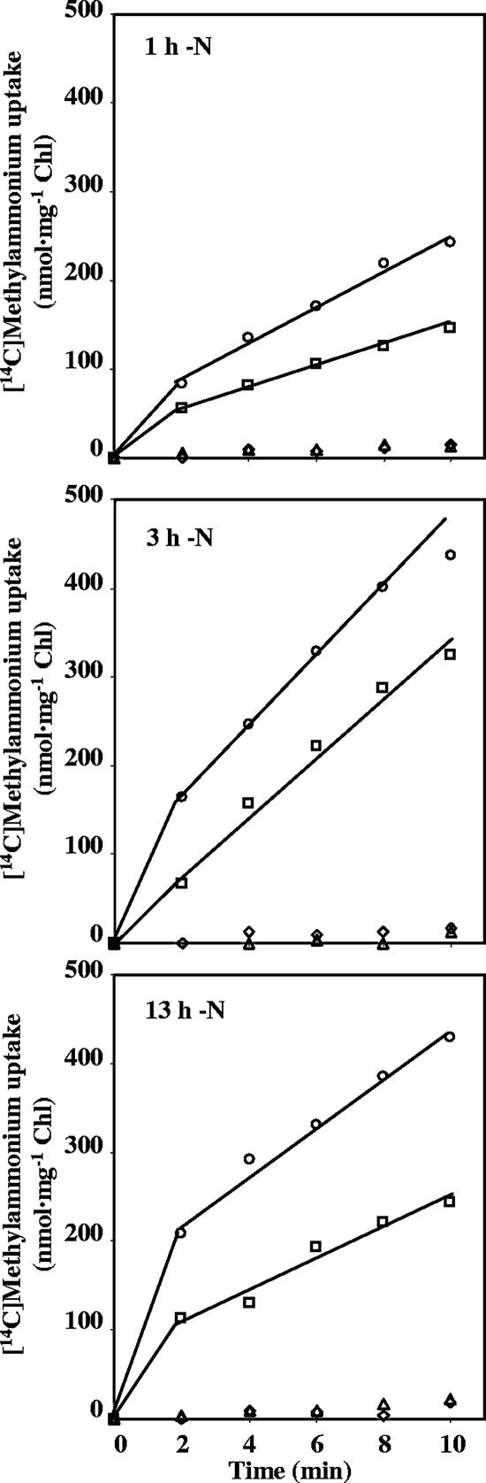 FIG. 5.