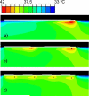 Fig. 10