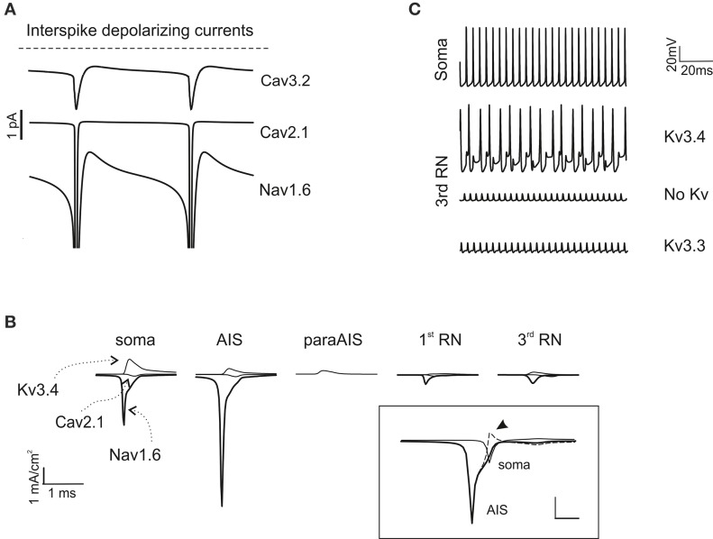 Figure 5