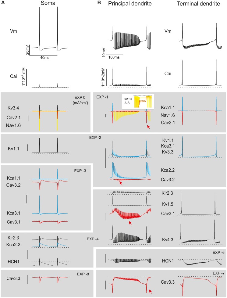 Figure 6